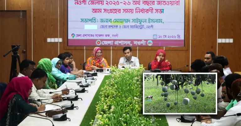 নওগাঁয় আম সংগ্রহের ক্যালেন্ডার প্রকাশ
